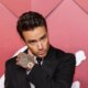 Liam Payne, former One Direction singer, dies at the age of 31 after falling from the third floor of a hotel in Buenos Aires